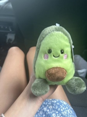 Palm Pals Cute Airy Avocado Plush – Palm Pals™